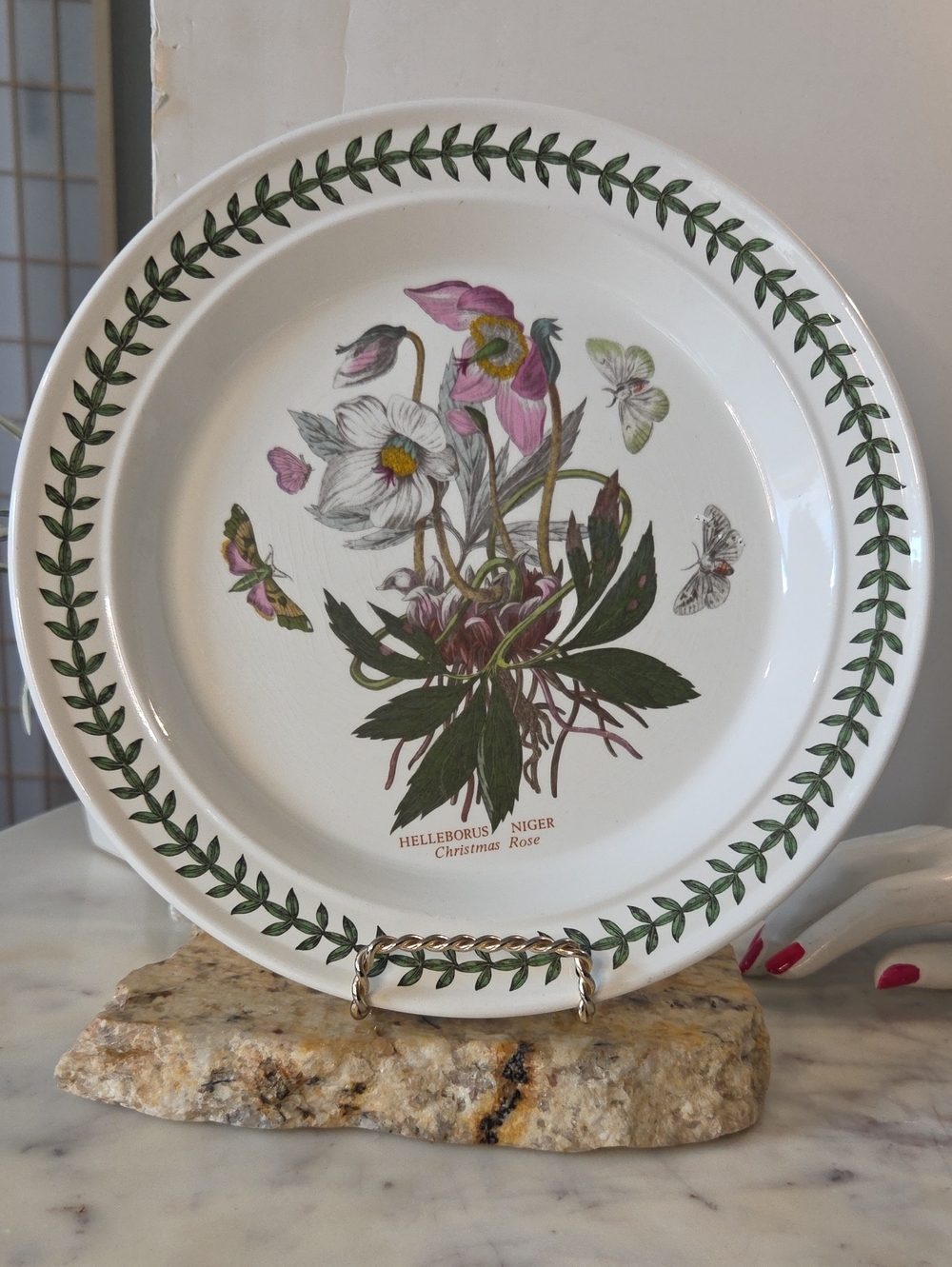 Vintage | Portmeirion The Botanic Garden Dinner Plates 10.5" Set 4 - Picture 4 of 7